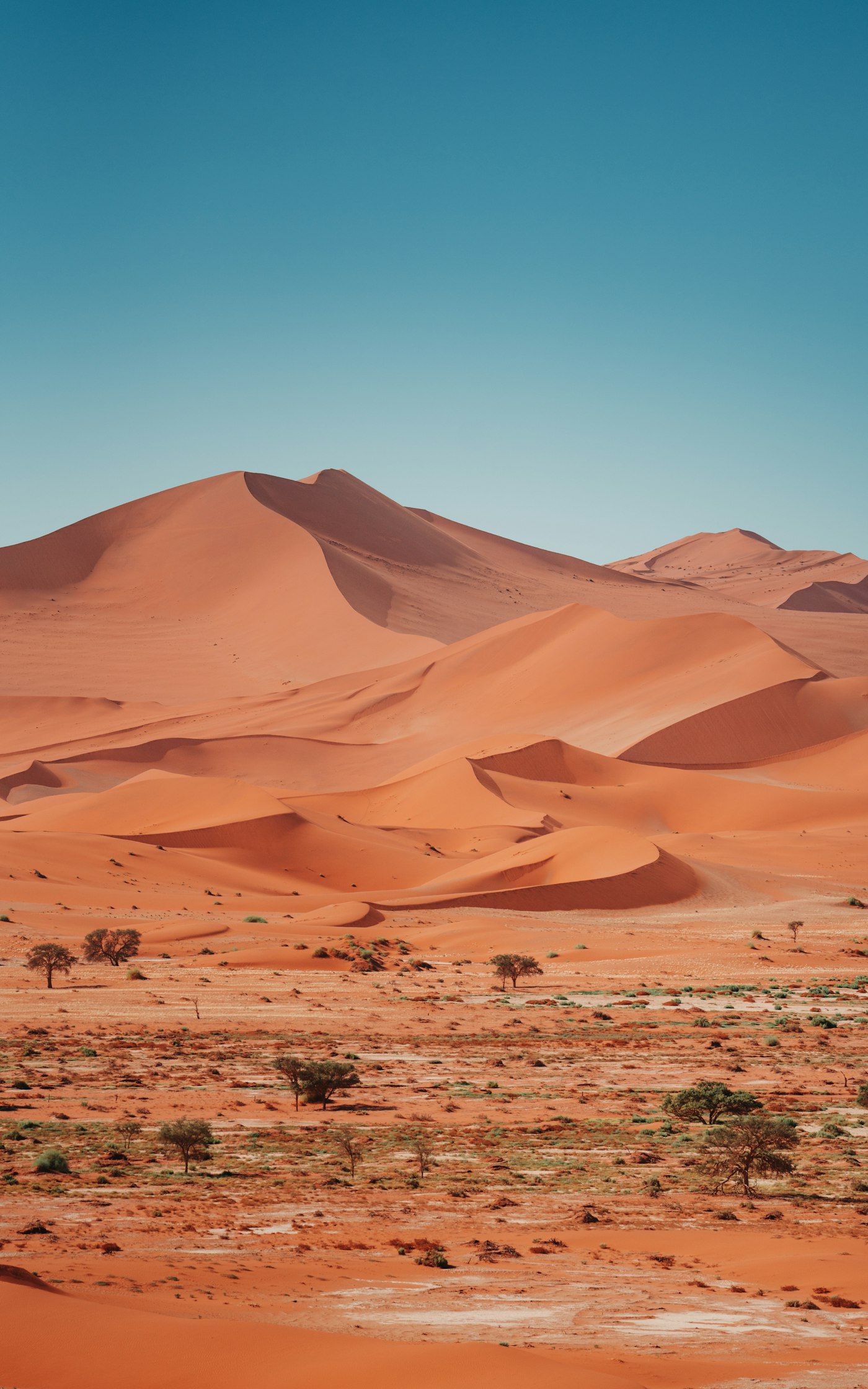 Sossusvlei desert landscape in Namibia