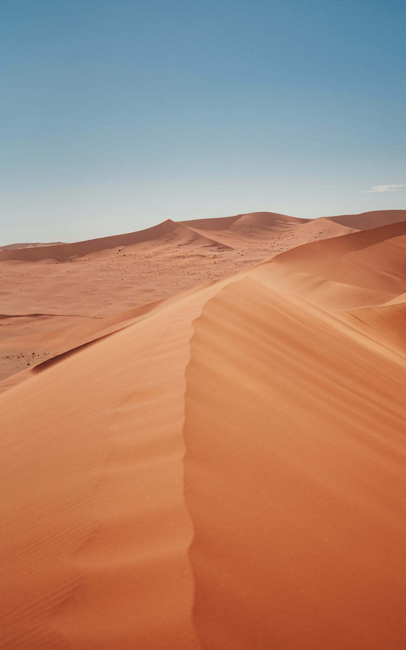 Sand dunes in Sossusvlei, Namibia